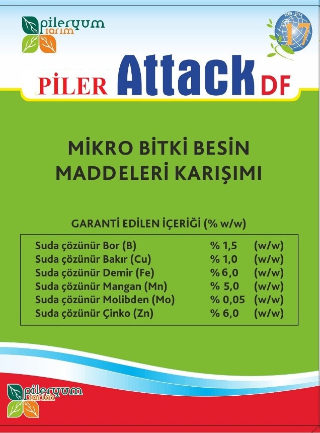 PİLER ATTACK  